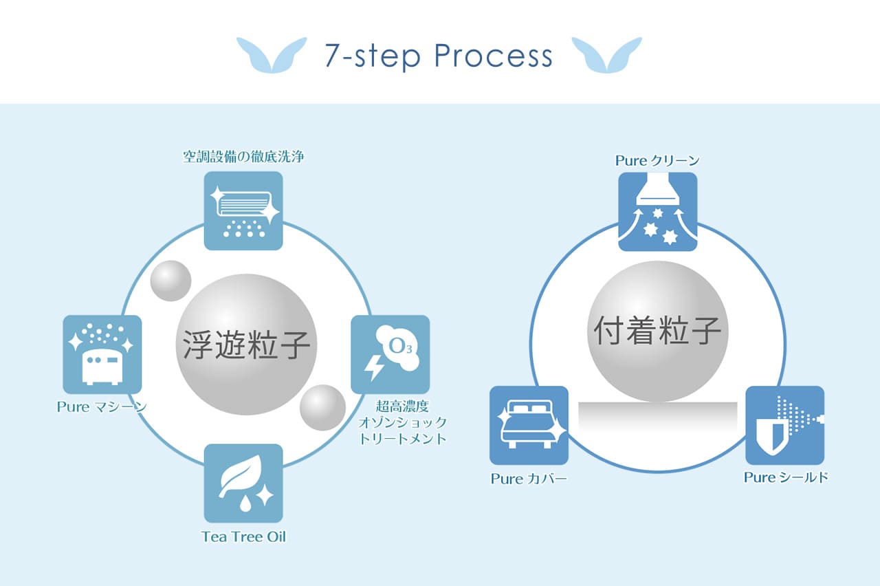 7step Process